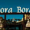 Отель Bora Bora Pousada в Пляже Бомбиньяс-Бич