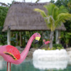 Отель Coco Resort, фото 7