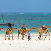 Отель Nomad Beach Resort, фото 13