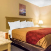 Отель Econo Lodge Inn & Suites Lake Harmony - Pocono Mountains Area, фото 4