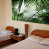 Отель Blue Palm Hotel, фото 2