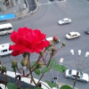 Отель Yerevan-sky, фото 17