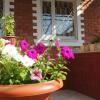 Гостиница Livadiya Guest House, фото 14