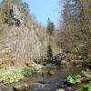 Отель Frankenwald Chalets - Chalets, фото 3