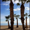 Отель SI Apartamentos Benicassim, фото 9