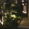 Отель The Gallivant Hotel, фото 1