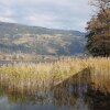 Отель Seehaus Karantanien am Ossiacher See, фото 10