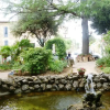 Отель Albergo Giardino, фото 21