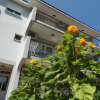 Отель Apartments Macaso, фото 4