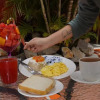 Meal