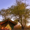 Отель Tuskers Wilderness Camp, фото 2