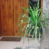 Отель Villa Puri Taryn, фото 1