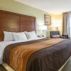 Отель Comfort Inn & Suites Black River Falls, фото 27