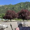 Отель Domaine La Pique, фото 21