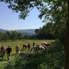 Отель Agriturismo Il Tratturo в Роккасикура