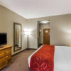 Отель Comfort Suites Boone - University Area, фото 3