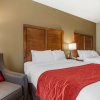 Отель Comfort Inn & Suites Near Mt. Rushmore, фото 5