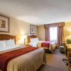 Отель Comfort Inn, фото 17