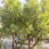 Отель Stylish 2Br Apartment in the Heart of Hamilton 4, фото 21