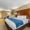 Отель Comfort Suites Cedar Falls, фото 6