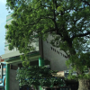 Отель OYO 16345 PKN Residency, фото 15