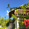 Отель Live you Dream on the Island of Dhigurah, Enjoying the Amenities Offered, фото 22