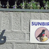 Отель Sunbird B&B, фото 1
