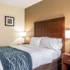 Отель Comfort Inn & Suites - Hannibal, фото 2