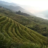 Отель Yuanxiang Yayuan Inn, фото 4