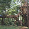 Отель Tree House with a Pool, фото 6