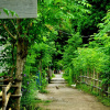 Отель Sammy Cottage Senggigi, фото 6