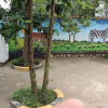 Отель Bwindi Mgahinga Guest House, фото 12