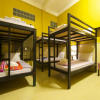 Отель Dorm Point Hostel Siem Reap - Adults Only, фото 7