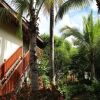Отель Q+ Elephanthome Boutique Guest House, фото 4