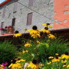 Отель Agriturismo La Limonaia, фото 1