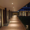 Отель Gold Spring, фото 12