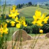 Отель Agriturismo Palazzo Bello, фото 17