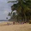Отель Safari Beach Lodge, фото 10