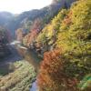 Отель Otsu Nature Garden, фото 13