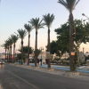 Отель Bivalvia Beach Plus, фото 22