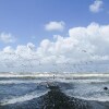 Отель Lilly aan Zee, фото 15