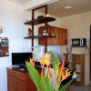 Отель Studio In Petite Ile With Wonderful Sea View Furnished Garden And Wifi 4 Km From The Beach, фото 9