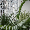 Отель Shophouse 26, фото 14