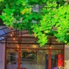 Отель The Lodge Yangon Poshtel - Hostel в Янгоне