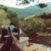 Отель Domaine Les Oliviers de Palombaggia, фото 3