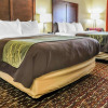 Отель Comfort Inn & Suites Artesia, фото 7