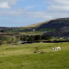 Отель Bwthyn Llys Twrog, фото 17