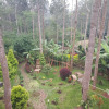 Отель WOW Bison Woods Resort Yercaud, фото 8