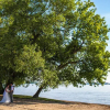 Отель Isaiah Tubbs Resort & Conference Centre, фото 33