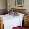 Отель The George Hotel, фото 6